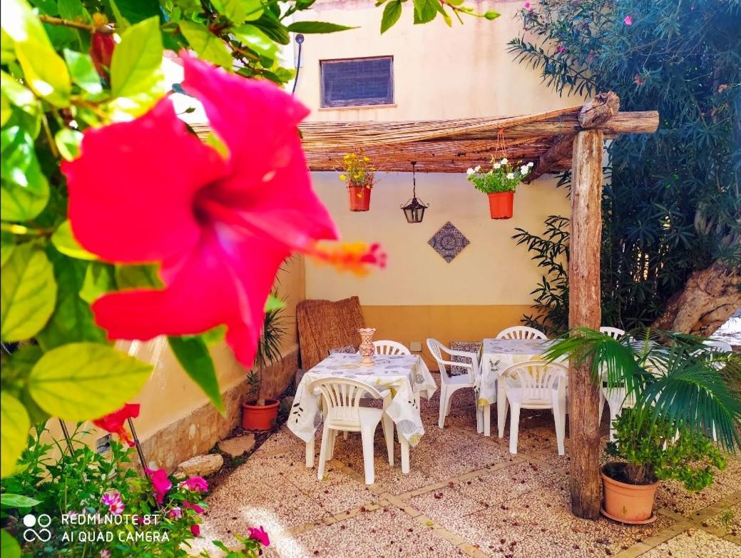 Bed and Breakfast Sunrise Stagnone - Kitesurf Spot Marsala Exterior foto