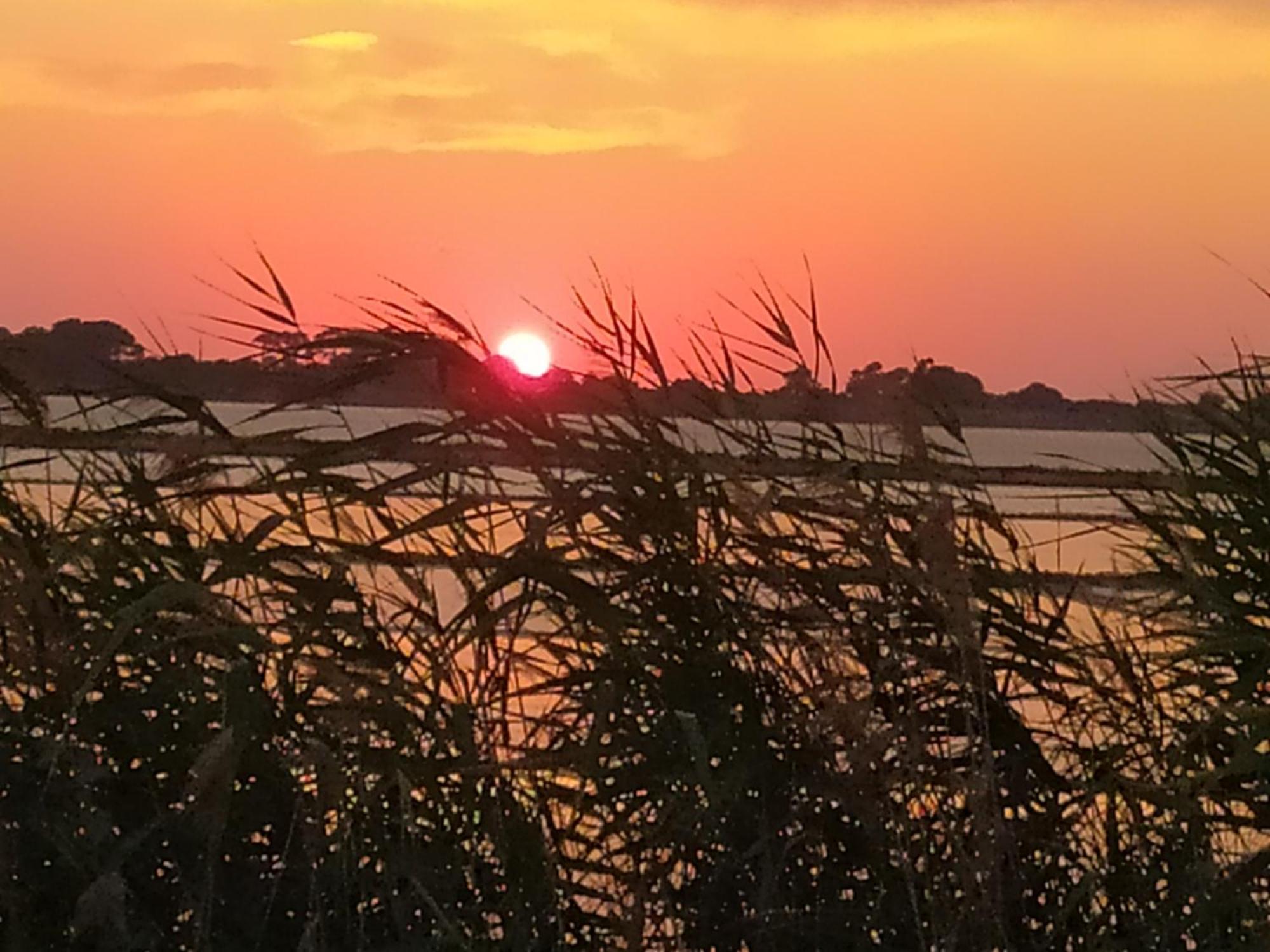 Bed and Breakfast Sunrise Stagnone - Kitesurf Spot Marsala Habitación foto