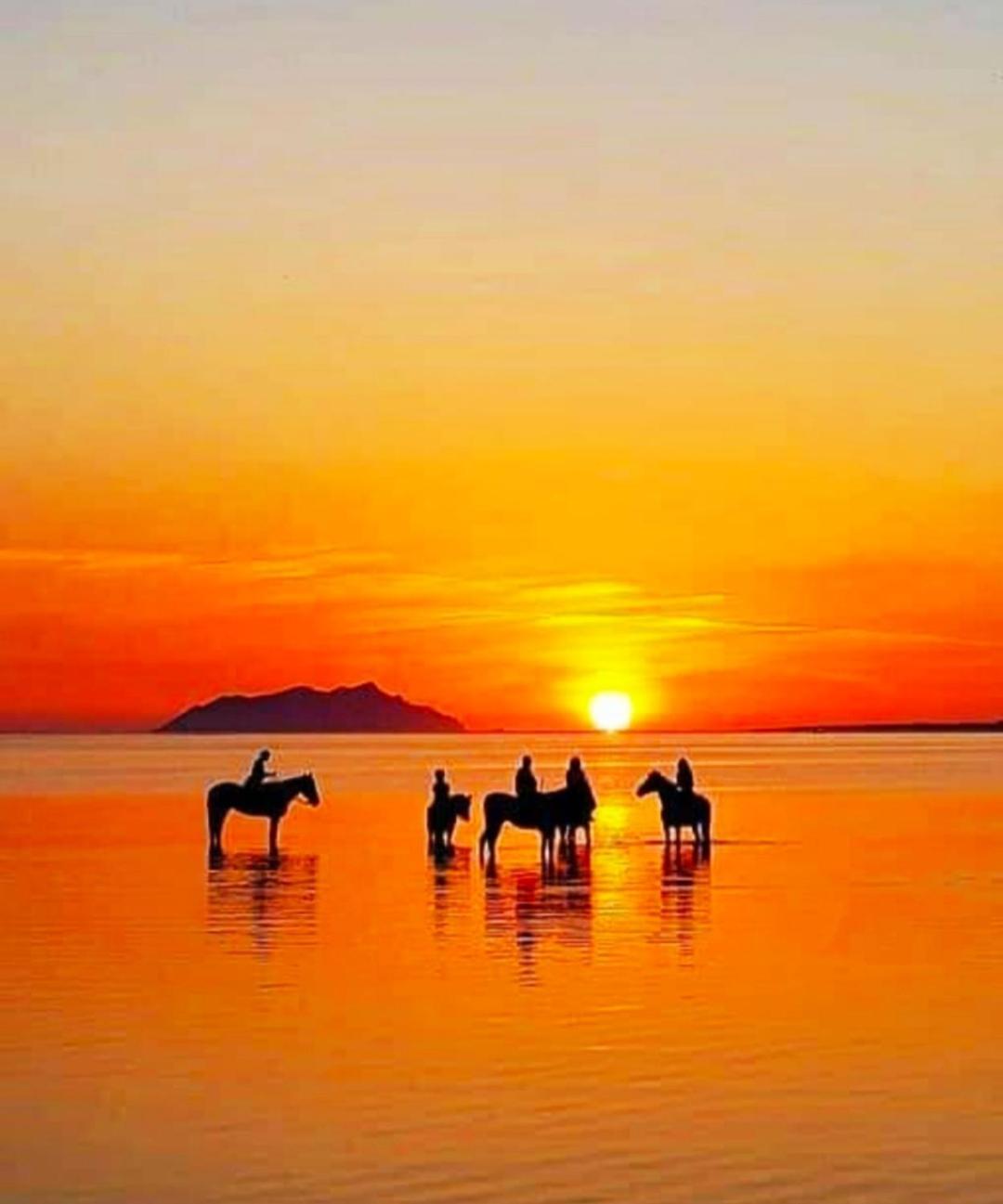 Bed and Breakfast Sunrise Stagnone - Kitesurf Spot Marsala Exterior foto